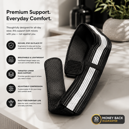 The Brace Support Belt